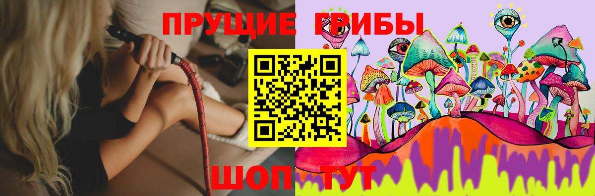 Галлюциногенные грибы MAGIC MUSHROOMS  Вход с VPN  Тюмень 